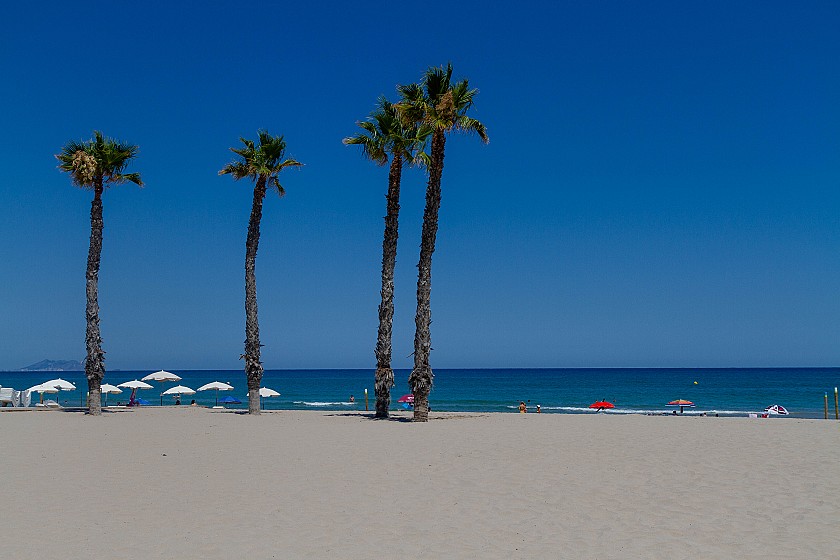 Enjoy the beach - Hotel Castilla Alicante