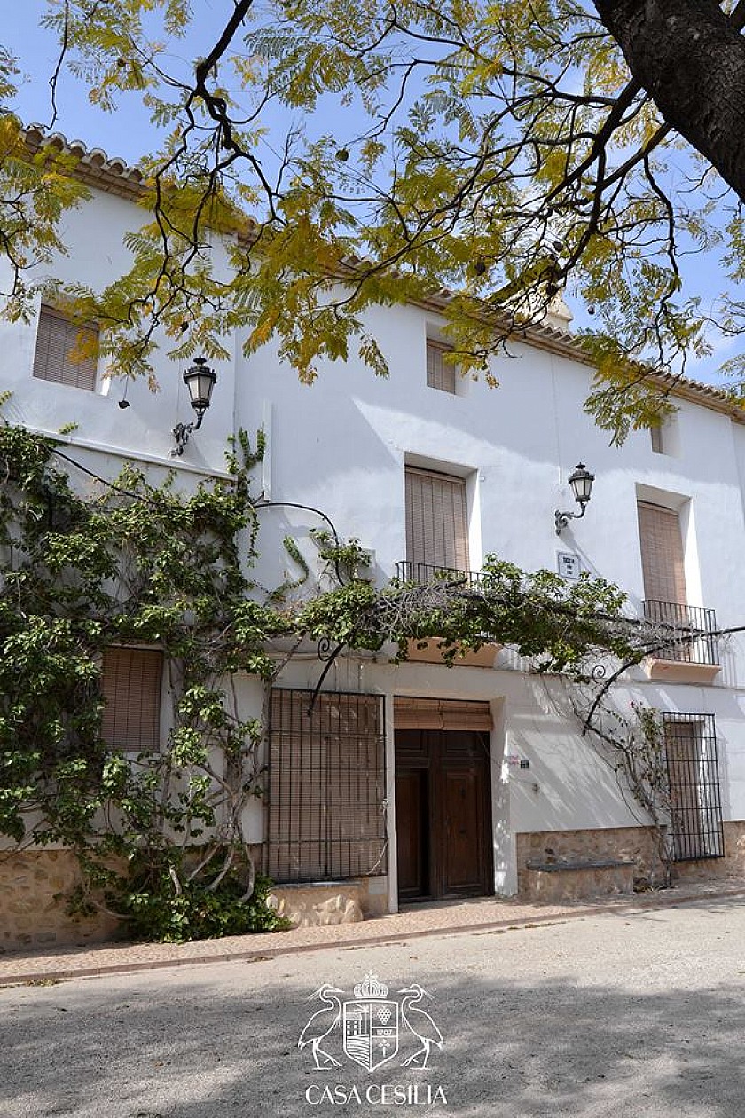 Catas de vino - Hotel Castilla Alicante