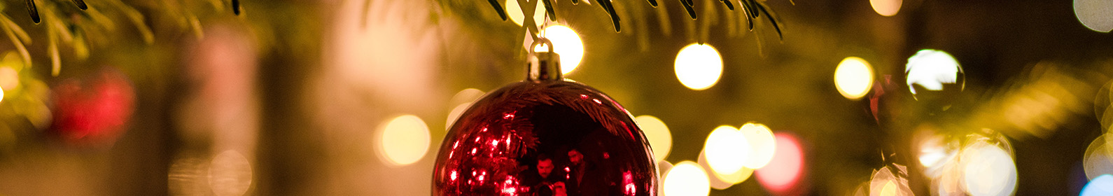 Special Christmas lunches 2024
